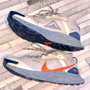 Nike trail Pegasus Gore Tex men’s outdoor shoes